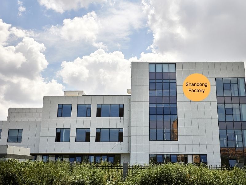 Fornitore di spugne trucco in Cina Fornitore di spugne trucco in Cina